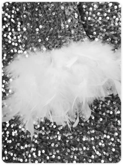 Kollyy Edgy Silver Feather Sequins Embellished Top T-Shirt -Tops Sales e728e66230bfeae580a831623aef8001